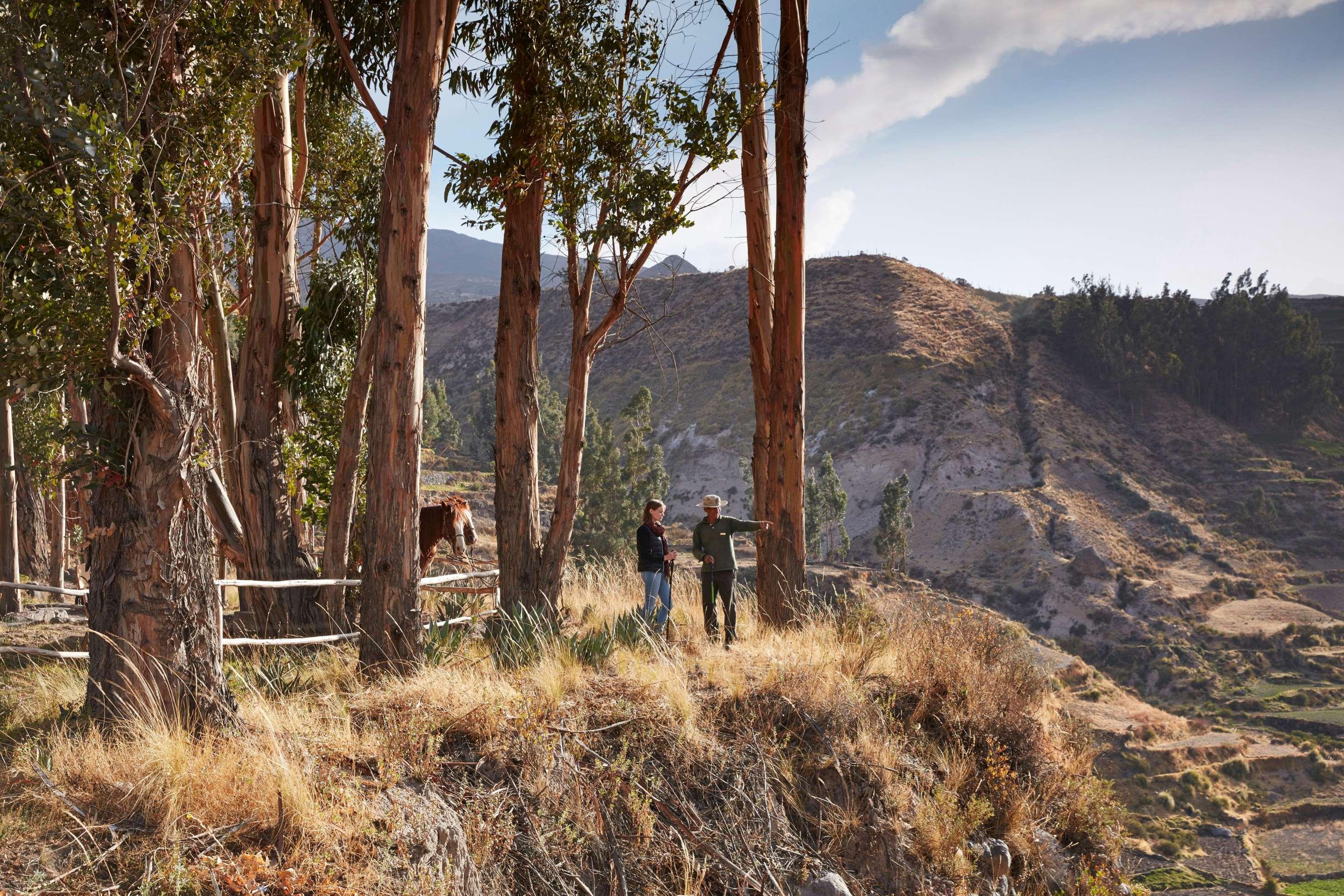 Las Casitas, A Belmond Hotel, Colca Canyon Yanque Esterno foto